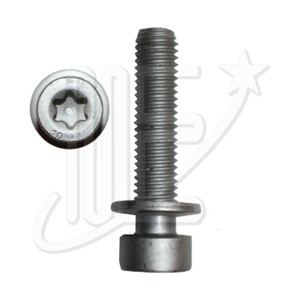 BULON ORIGINAL 10X45X1.50 206-207-307