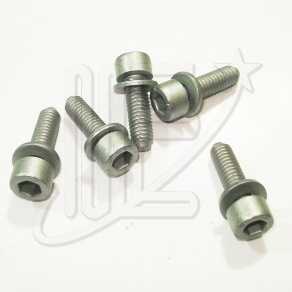 6913J1O.jpg TORNILLO RAMPA INYECTOR ORIGINAL -EW10A- C3-C4