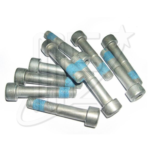 6913V00O.jpg TORNILLO TENSOR DISTRIB.ORIG-TU5JP4- 206-207-307