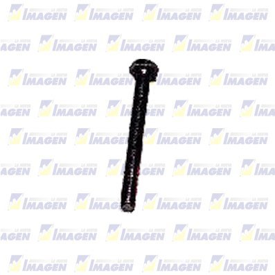 6914-391-N.jpg TORNILLO SOPORTE TENSOR 10 X 100