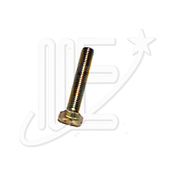 BULON CABEZA EXAGONAL 10X55 306/405