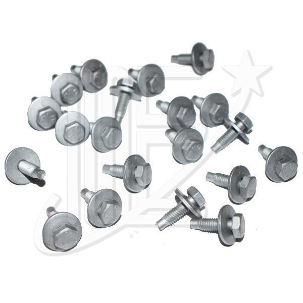 6922540O.jpg TORNILLO BISAGRA CAPOT ORIGINAL 301