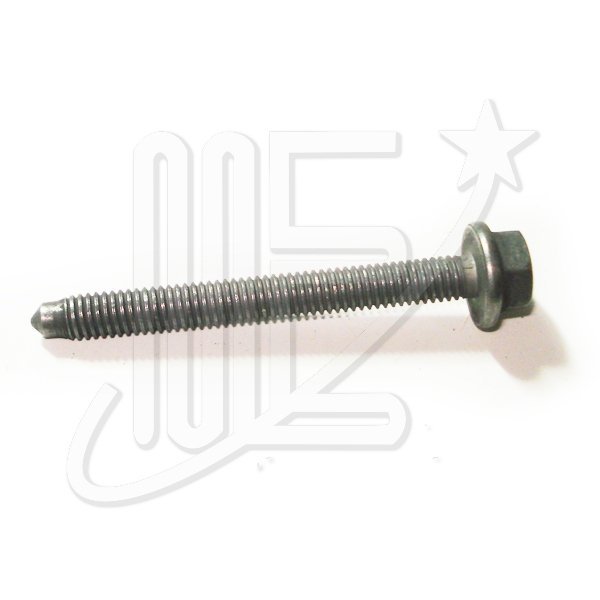 6925N90O.jpg TORNILLO 6x55 BOMBA ACEITE ORIGINAL 206-207-307