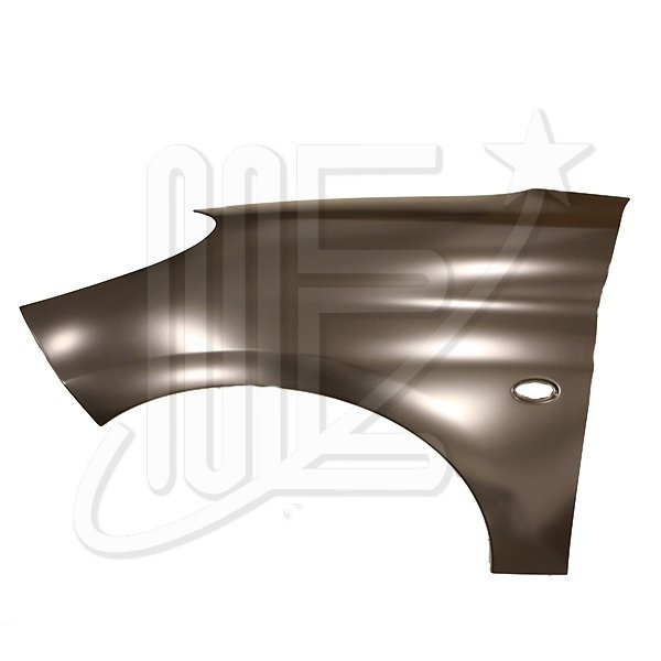 GUARDABARRO DELANTERO IZQUIERDO        207 08 / 17