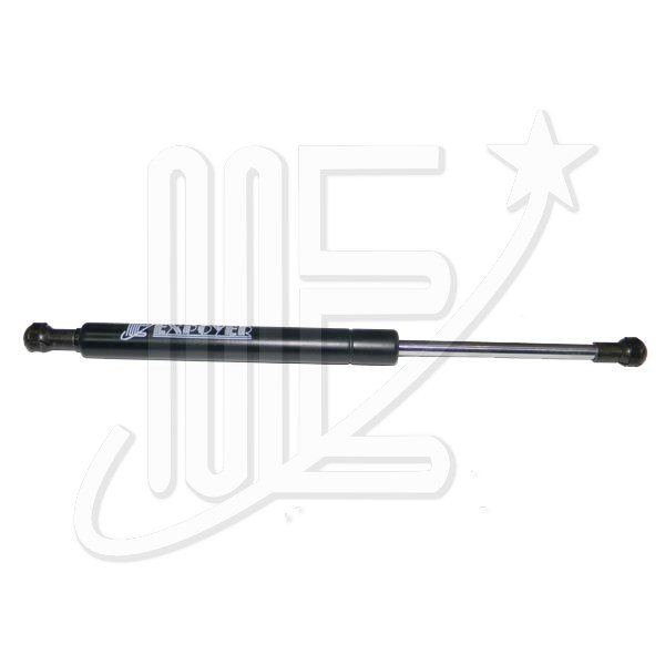 AMORTIGUADOR CAPOT EXPOYER-              XSARA