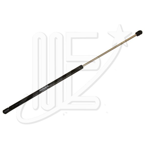 AMORTIGUADOR PORTON XSARA PICASSO 05/