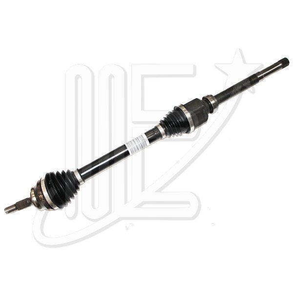 SEMIEJE DERECHO ORIGINAL 301