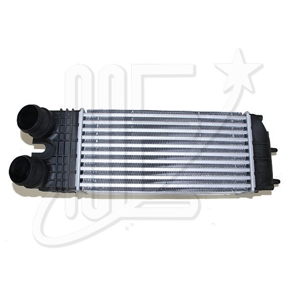 INTERCOOLER ORIGINAL -MOTOR DV6- PARTNER