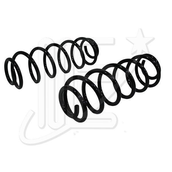 JUEGO RESORTE SUSP.TRAS.1339 CAR 208 ACTIVE 13/17