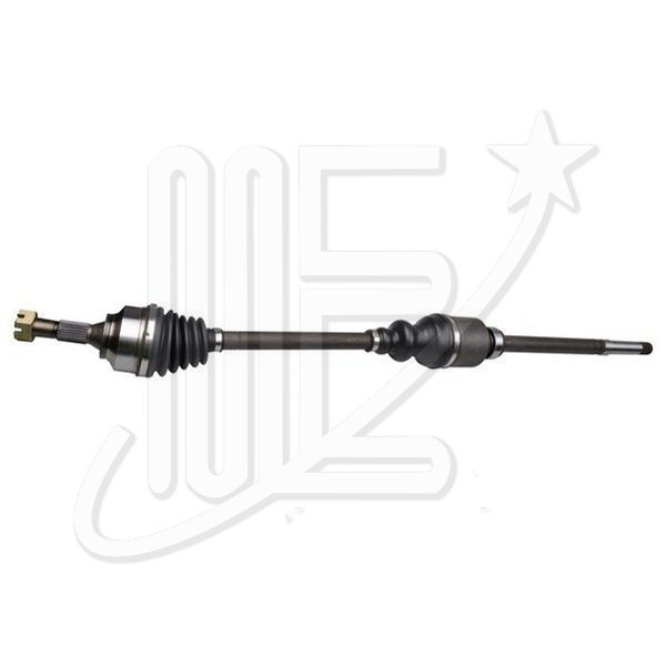 SEMIEJE DERECHO ORIGINAL 307