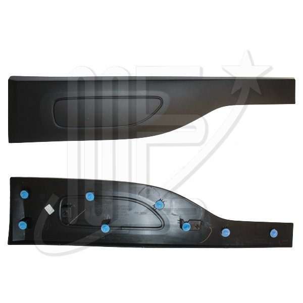 98243370XTC.jpg MOLDURA PUERTA TRAS DER ORIGINAL C4 CACTUS