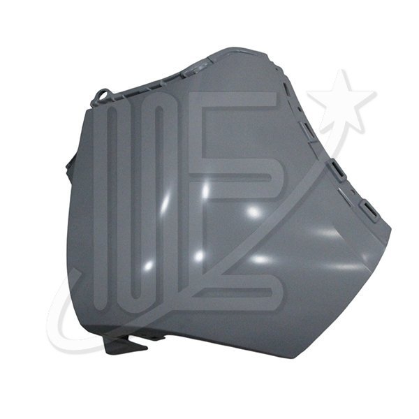 PUNTERA PARAGOLPE IZQUIERDA ORIG 2008 2025/…