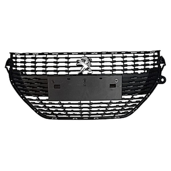 PARRILLA PARAGOLPE DEL.SUSPENSION NEGRO P21
