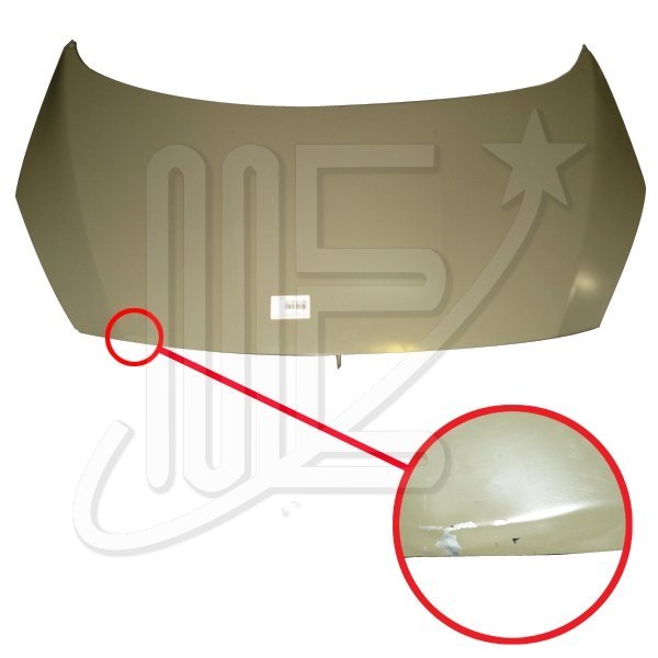 CD7901S40O.jpg CAPOT ORIGINAL 308-408 CON DETALLES