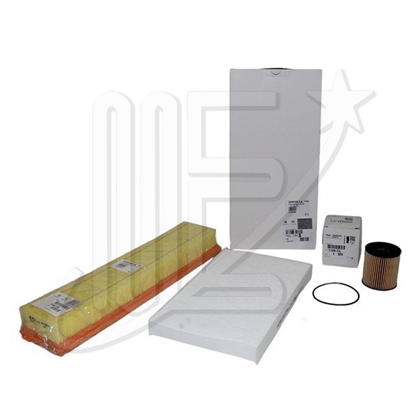 EW10A0O.jpg KIT LARA FILTROS 308
